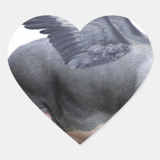 vliegvarken hart sticker (Voorkant)
