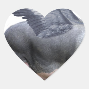 vliegvarken hart sticker