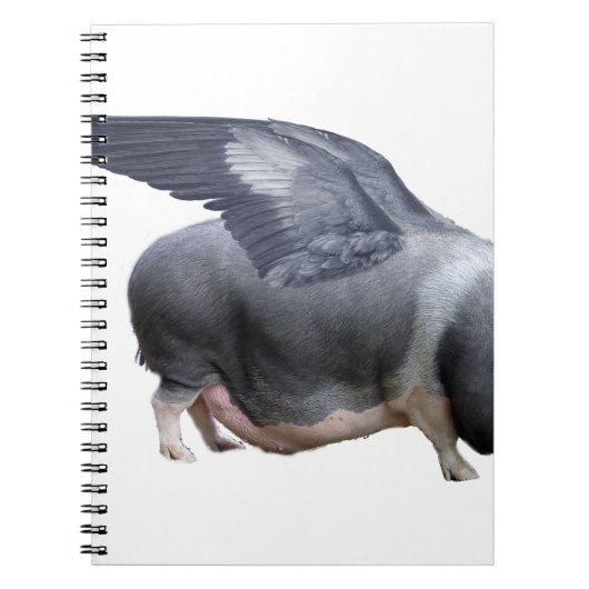 vliegvarken notitieboek (Voorkant)