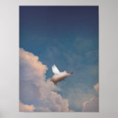 vliegvarken poster (Voorkant)