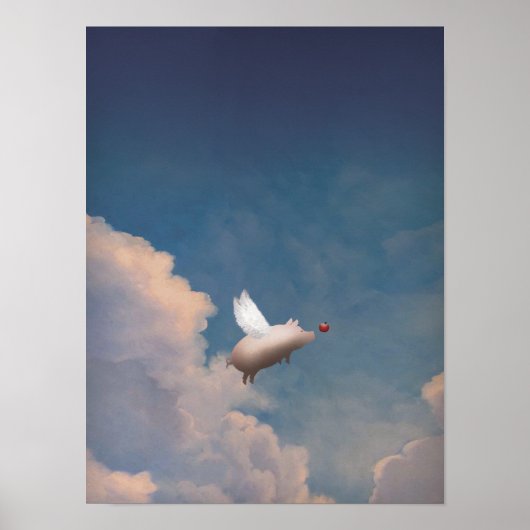 vliegvarken poster (Voorkant)