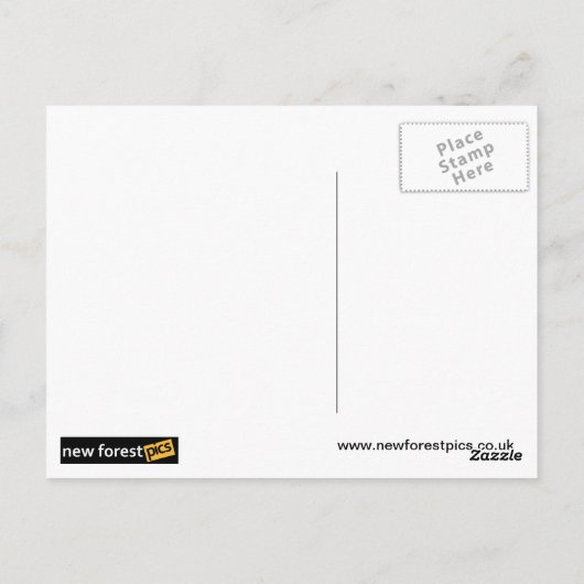 Vliegvarkens Briefkaart (Achterkant)