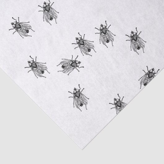 Vliegverbod in 1910 tissuepapier (Detail)