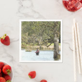 VLIEGVISSEN SERVET (Insitu)