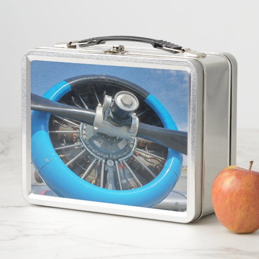 Vliegvliegtuig (In situ)