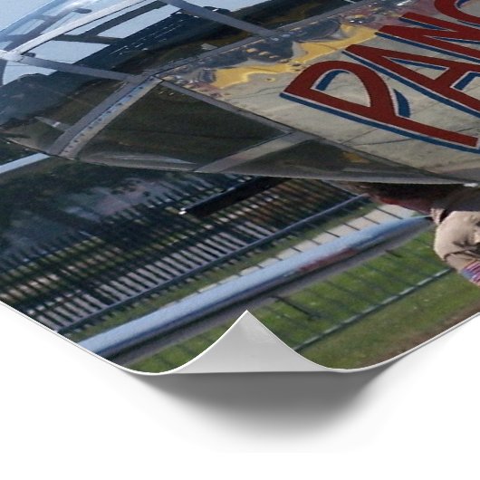 Vliegvliegtuig Poster (Hoek)