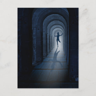 Vliegvlucht Briefkaart