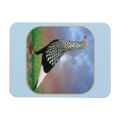 Vliegvlucht en wolken magneet (Horizontaal)