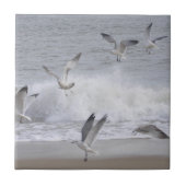 Vliegvlucht Tegeltje (Voorkant)