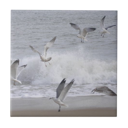 Vliegvlucht Tegeltje (Voorkant)