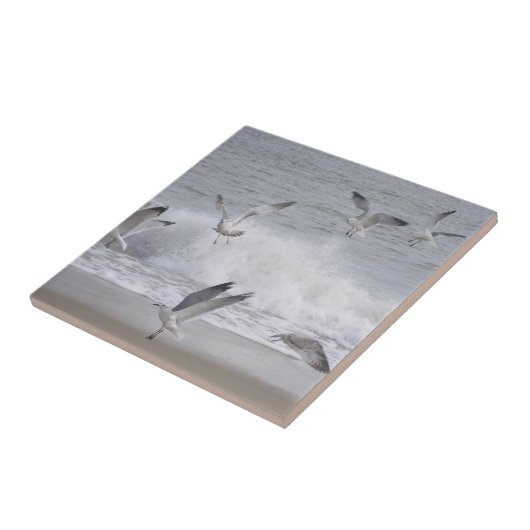 Vliegvlucht Tegeltje (Zijkant)