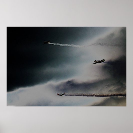 Vliegwapn 4 poster (Voorkant)