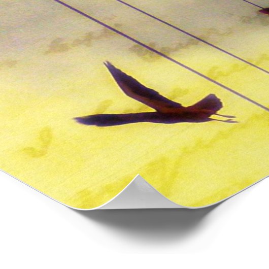 Vliegweg Poster (Hoek)