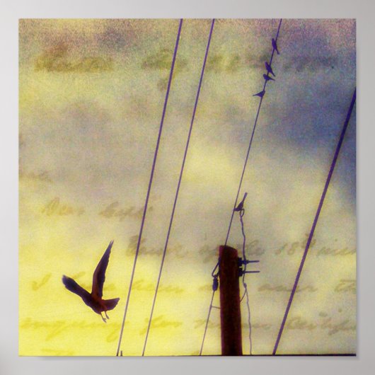 Vliegweg Poster (Voorkant)