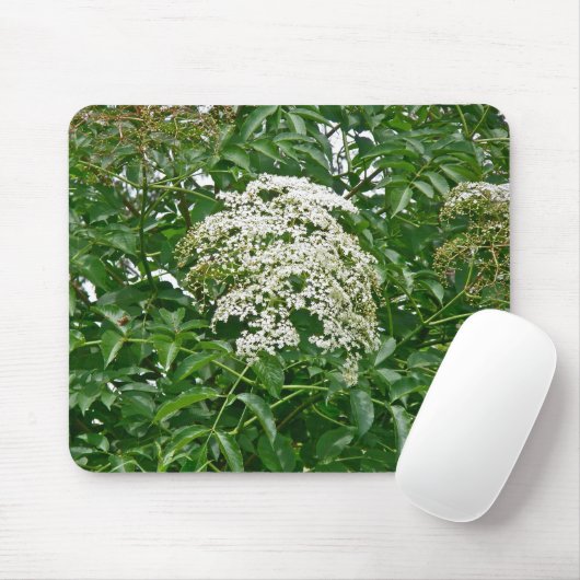Vlierbes (Sambucus canadensis) Mousepad Muismat (Met muis)