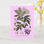 vlierbes-sambucus-wenskaart kaart (Gele Bloem)