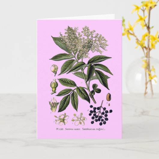 vlierbes-sambucus-wenskaart kaart (Gele Bloem)