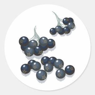 vlierbessen ronde sticker