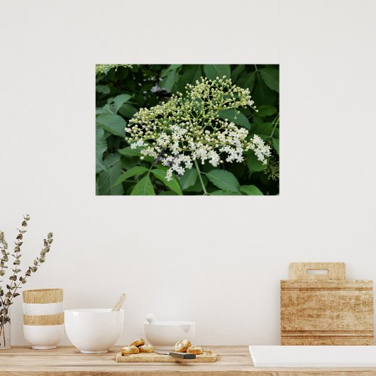 vlierbloem poster (Keuken)