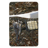 Vlikker in Bird Feeder Magnet Magneet (Verticaal)