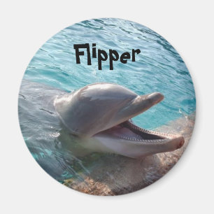 Vlikster Magneet