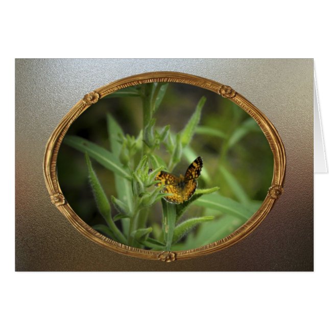  vlinder (Voorkant Horizontaal)