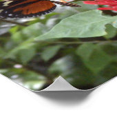 vlinder1 poster (Hoek)