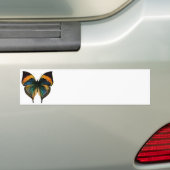 vlinder - 1800's Antiek vlinderlitho Bumpersticker (Op auto)