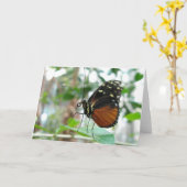 Vlinder #1 kaart (Gele Bloem)