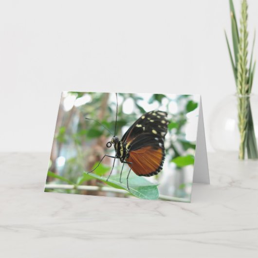 Vlinder #1 kaart (Voorkant)