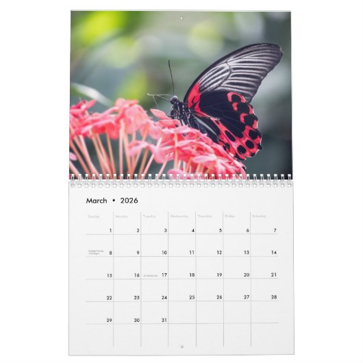 Vlinder 2025 kalender (Mar 2026)