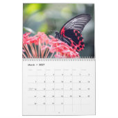 Vlinder 2025 kalender (Mar 2027)