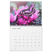 Vlinder 2025 kalender (Jan 2027)