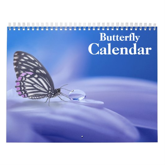 Vlinder 2027 kalender (Hoes)