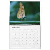 Vlinder 2027 kalender (Jan 2027)