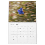 Vlinder 2027 kalender (Feb 2027)