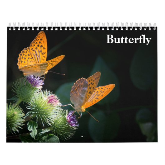 Vlinder 2027 kalender (Hoes)