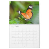 Vlinder 2027 kalender (Mar 2027)