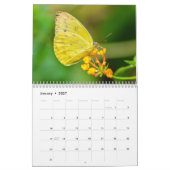 Vlinder 2027 kalender (Jan 2027)