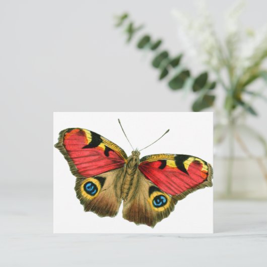 vlinder-9-eop briefkaart (Staand voorkant)
