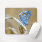Vlinder, algemeen blauw, insect muismat (Met muis)