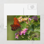 vlinder ansichtkaart briefkaart (Voorkant / Achterkant)