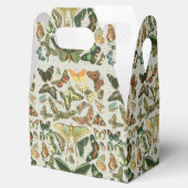 Vlinder Antiek Vlinders Art Bedankdoosjes (Geopend)