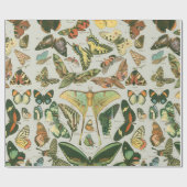 Vlinder  Antiek Vlinders Art Cadeaupapier (Vlak)