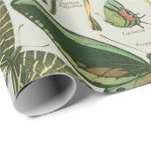 Vlinder  Antiek Vlinders Art Cadeaupapier (Rol Hoek)