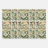 Vlinder  Antiek Vlinders Art Inpakpapier Vel (Voorkant 3)