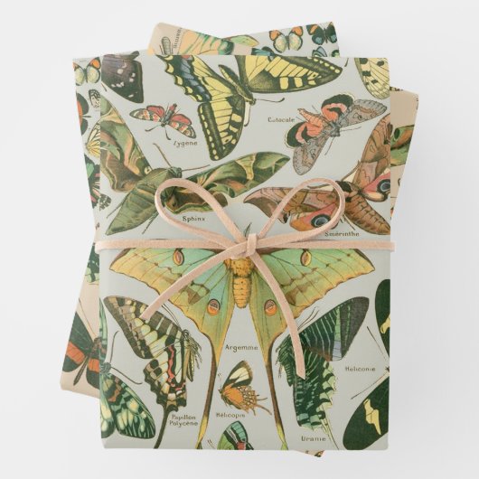 Vlinder Antiek Vlinders Art Inpakpapier Vel (In situ)