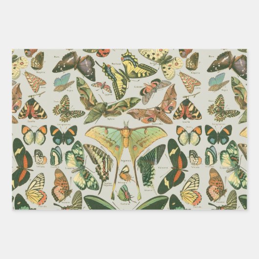 Vlinder Antiek Vlinders Art Inpakpapier Vel (Voorkant)