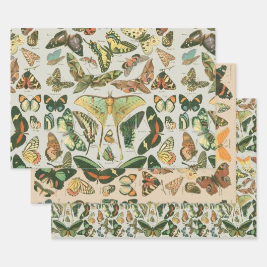 Vlinder  Antiek Vlinders Art Inpakpapier Vel (Set)