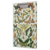 Vlinder  Antiek Vlinders Art Klembord (Links)